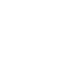 Flores para Regalo